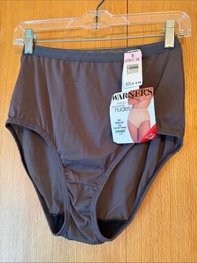 Vtg Warner's Not So Innocent Nudes 9 silky Gray High Waist No Show Brief Panty